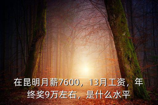 在昆明月薪7600，13月工資，年終獎(jiǎng)9萬左右，是什么水平