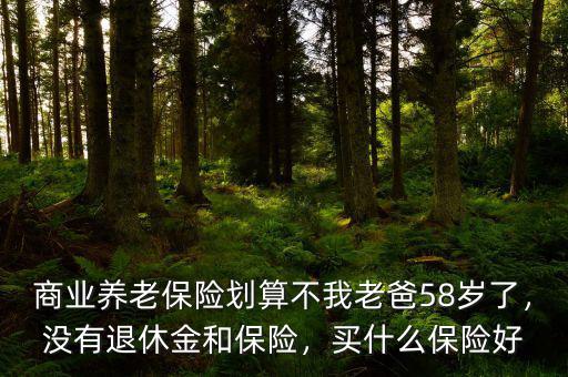 商業(yè)養(yǎng)老保險劃算不我老爸58歲了，沒有退休金和保險，買什么保險好