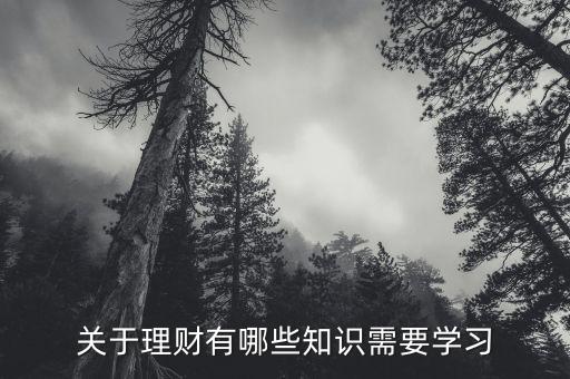 理財需要什么,關(guān)于理財有哪些知識需要學習