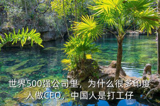 世界500強(qiáng)公司里，為什么很多印度人做CEO，中國人是打工仔