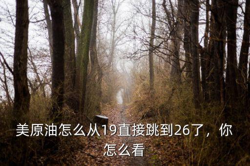 美原油怎么從19直接跳到26了，你怎么看