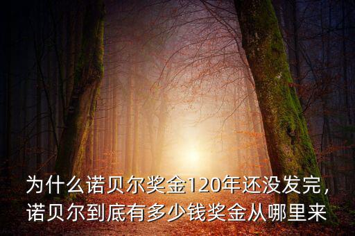 為什么諾貝爾獎金120年還沒發(fā)完，諾貝爾到底有多少錢獎金從哪里來