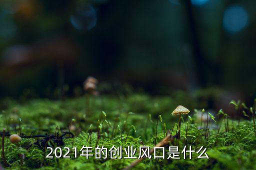 2021年的創(chuàng)業(yè)風(fēng)口是什么