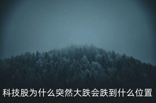 科技股為什么突然大跌會(huì)跌到什么位置