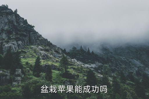 盆栽蘋(píng)果能成功嗎