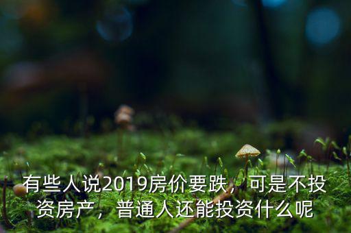 有些人說2019房價要跌，可是不投資房產(chǎn)，普通人還能投資什么呢