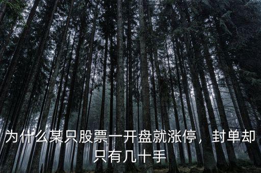 為什么某只股票一開(kāi)盤(pán)就漲停，封單卻只有幾十手