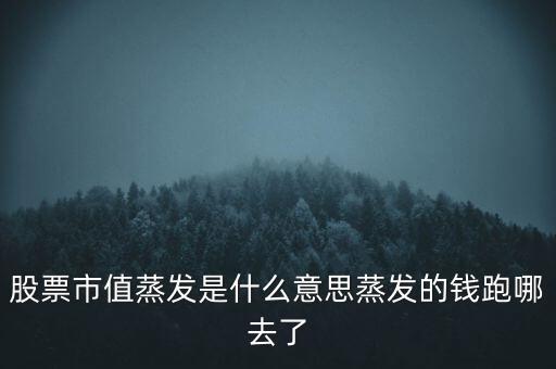 股票市值蒸發(fā)是什么意思蒸發(fā)的錢(qián)跑哪去了