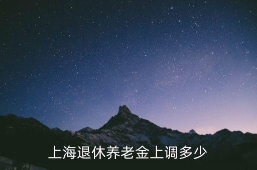 上海退休養(yǎng)老金上調(diào)多少