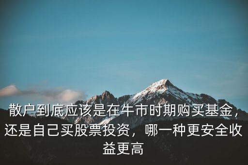 散戶到底應(yīng)該是在牛市時(shí)期購買基金，還是自己買股票投資，哪一種更安全收益更高