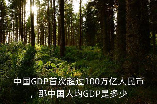 中國(guó)GDP首次超過100萬億人民幣，那中國(guó)人均GDP是多少