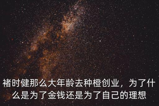 褚時(shí)健那么大年齡去種橙創(chuàng)業(yè)，為了什么是為了金錢還是為了自己的理想