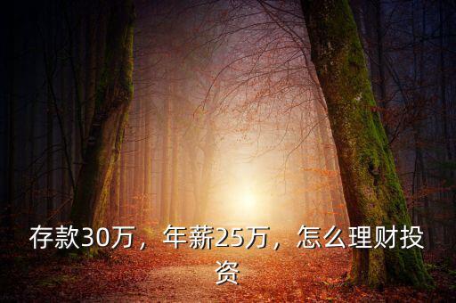 存款30萬，年薪25萬，怎么理財(cái)投資