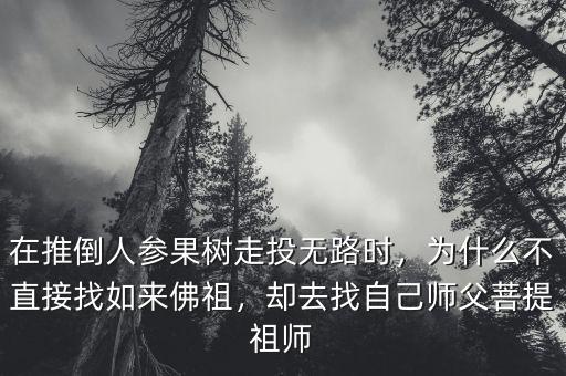 在推倒人參果樹走投無路時，為什么不直接找如來佛祖，卻去找自己師父菩提祖師