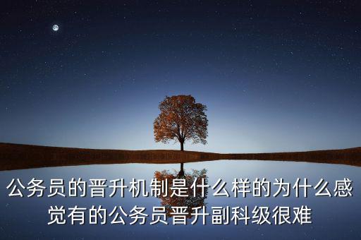 公務(wù)員的晉升機制是什么樣的為什么感覺有的公務(wù)員晉升副科級很難