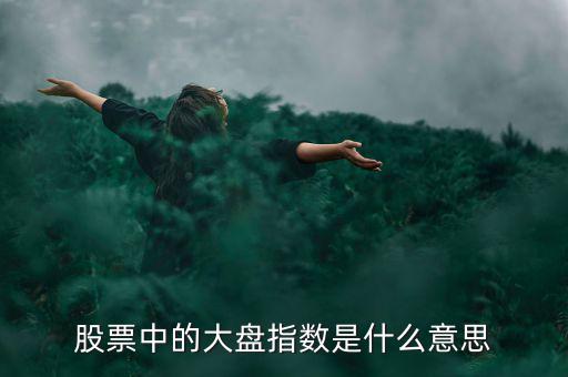 股票中的大盤指數(shù)是什么意思