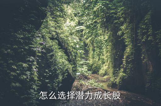 怎么選擇潛力成長(zhǎng)股