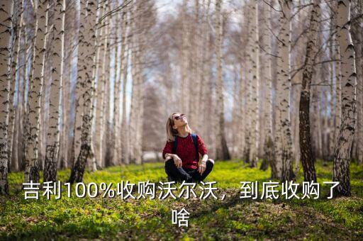 沃爾沃被多少錢收購,吉利100%收購沃爾沃