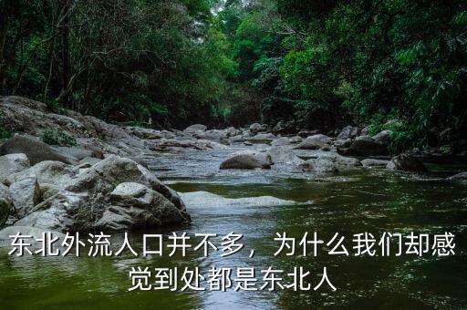 東北外流人口并不多，為什么我們卻感覺(jué)到處都是東北人