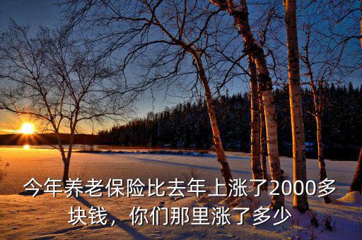 今年養(yǎng)老保險(xiǎn)比去年上漲了2000多塊錢，你們那里漲了多少