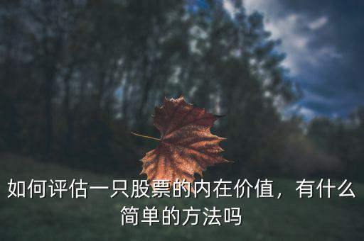 如何評(píng)估一只股票的內(nèi)在價(jià)值，有什么簡(jiǎn)單的方法嗎