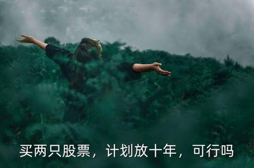 買兩只股票，計(jì)劃放十年，可行嗎