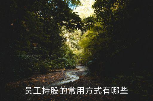 員工持股公司怎么設(shè)置,企業(yè)想讓核心員工持股