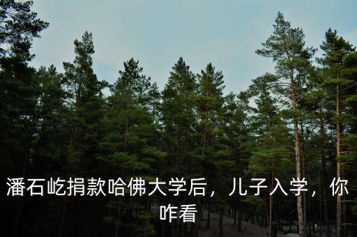 潘石屹捐款哈佛多少錢,潘石屹捐款哈佛大學(xué)后