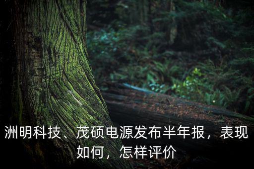 洲明科技、茂碩電源發(fā)布半年報(bào)，表現(xiàn)如何，怎樣評(píng)價(jià)