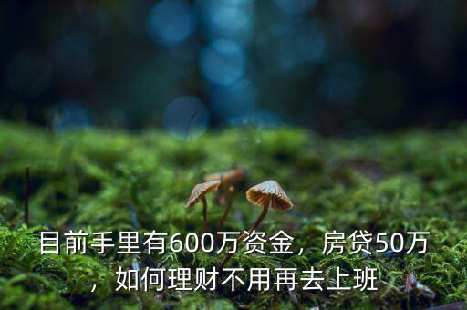 目前手里有600萬(wàn)資金，房貸50萬(wàn)，如何理財(cái)不用再去上班