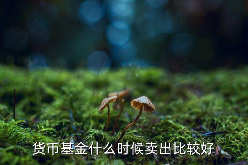 貨幣基金什么時(shí)候賣出比較好