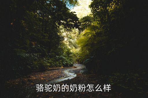 駱駝奶的奶粉怎么樣