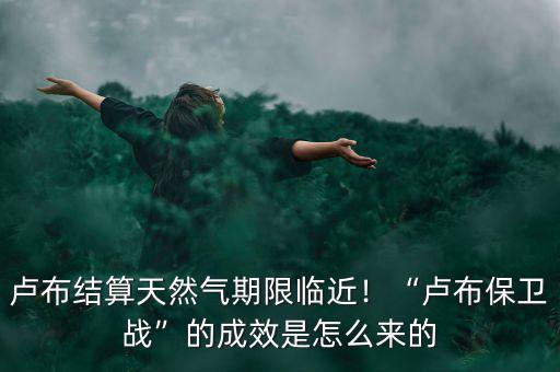 盧布結(jié)算天然氣期限臨近！“盧布保衛(wèi)戰(zhàn)”的成效是怎么來(lái)的