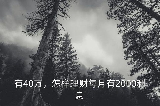 有40萬(wàn)怎么理財(cái),怎樣理財(cái)每月有2000利息