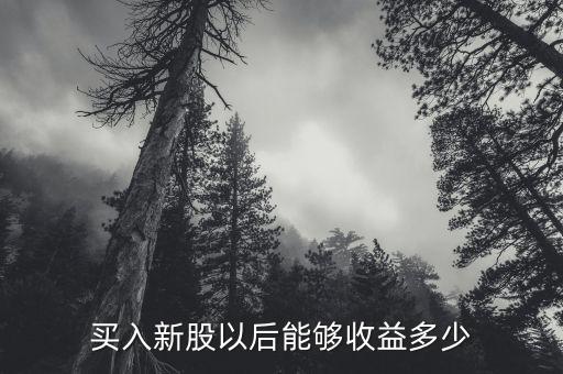 買(mǎi)入新股以后能夠收益多少