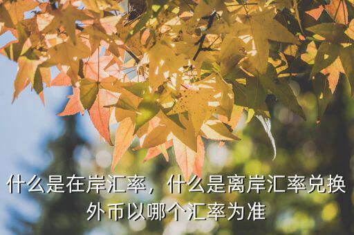 什么是在岸匯率，什么是離岸匯率兌換外幣以哪個匯率為準(zhǔn)