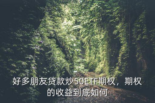 好多朋友貸款炒50ETF期權(quán)，期權(quán)的收益到底如何