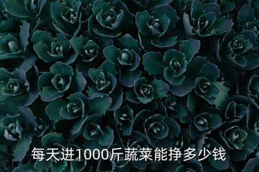 每天進1000斤蔬菜能掙多少錢