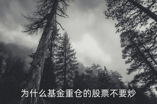 為什么基金重倉(cāng)的股票不要炒