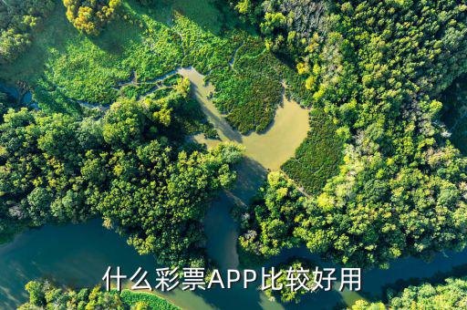 什么彩票APP比較好用