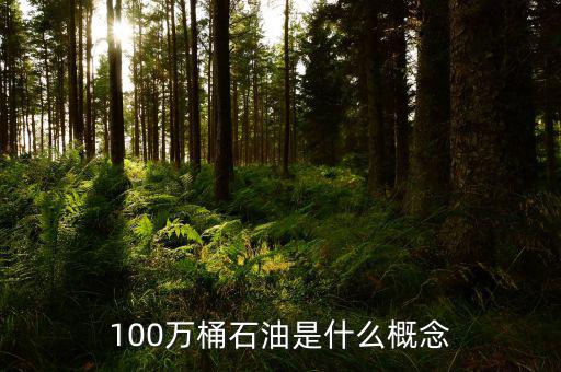 100萬(wàn)桶石油是什么概念