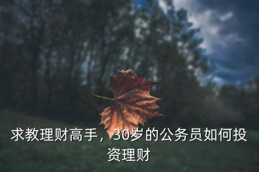 求教理財高手，30歲的公務員如何投資理財