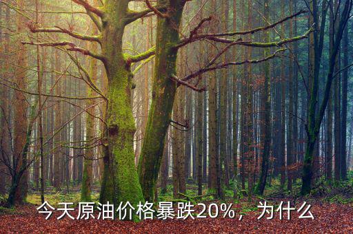 今天原油價格暴跌20%，為什么