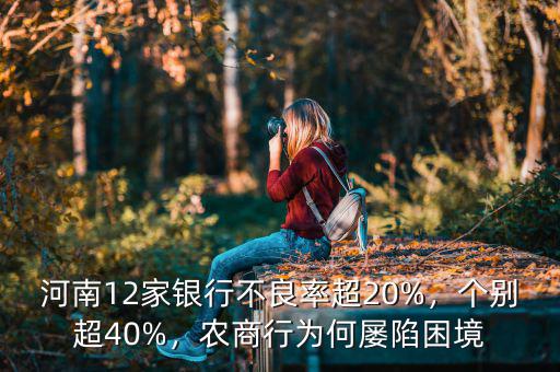 河南12家銀行不良率超20%，個別超40%，農(nóng)商行為何屢陷困境