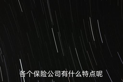 再保險有什么特征,各個保險公司有什么特點(diǎn)呢