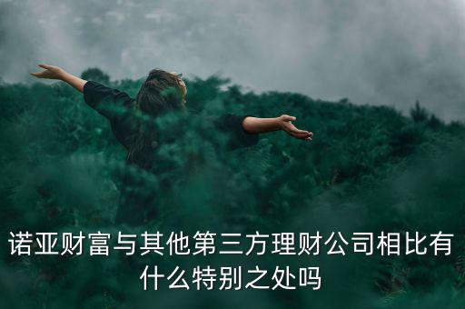 諾亞財(cái)富與其他第三方理財(cái)公司相比有什么特別之處嗎