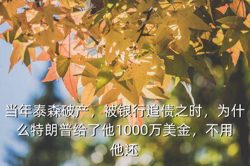 當(dāng)年泰森破產(chǎn)，被銀行追債之時(shí)，為什么特朗普給了他1000萬(wàn)美金，不用他還