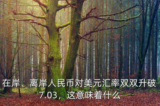 在岸、離岸人民幣對美元匯率雙雙升破7.03，這意味著什么