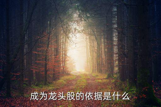 成為龍頭股的依據(jù)是什么