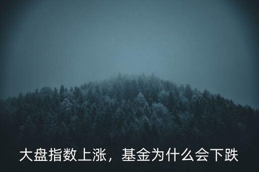 基金為什么會(huì)暴漲暴跌,基金為什么會(huì)下跌